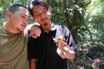 Kem Wataniah Hutan Simpan Beserah