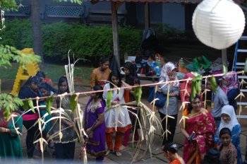 Pongal Celebration