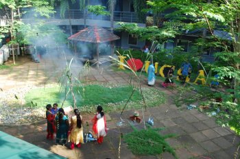 Pongal Celebration