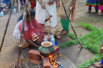 Pongal Celebration