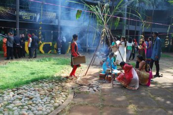 Pongal Celebration