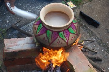 Pongal Celebration