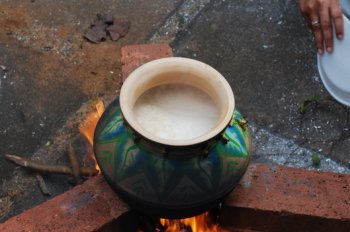 Pongal Celebration