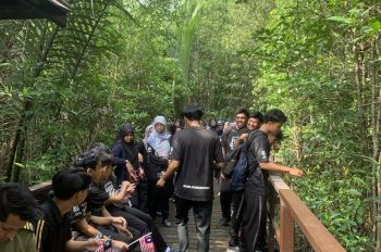  Jungle Trekking